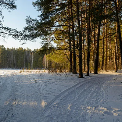 Harbin Rooftop Bars Itinerary: 3 Nights of Skyline Views