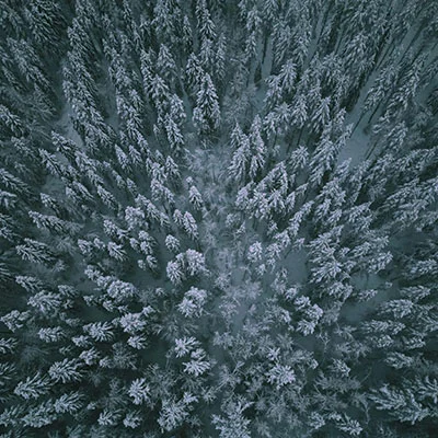 The Best Harbin Attractions for a Weekend Trip